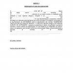 2020.07.29_Licitación 33