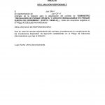 2020.07.29_Licitación 34