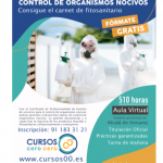 CURDO 1