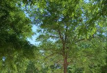 REFORMA PLAYITA ESTREMERA