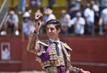 NOVILLADA PICADA 29 DE MAYO