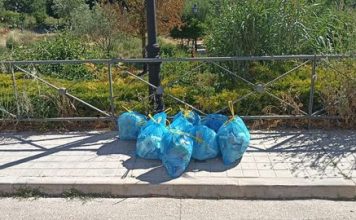 RECOGIDA DE RESIDUOS