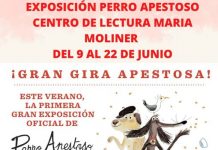 EXPOSICIÓN PERRO APESTOSO BIBLIOTECA MARIA MOLINER