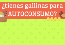 REGISTRO DE GALLINAS PARA AUTOCONSUMO